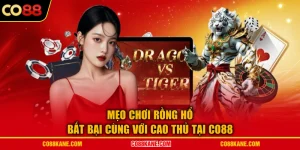 Mẹo Chơi Rồng Hổ Bất Bại Cùng Với Cao Thủ Tại CO88