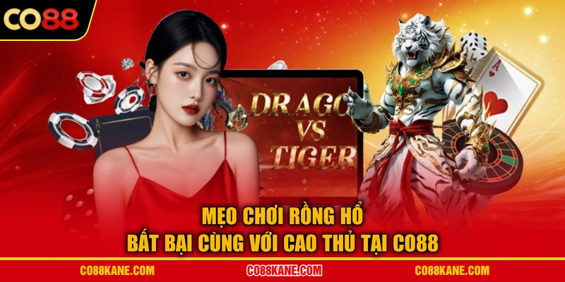 Mẹo Chơi Rồng Hổ Bất Bại Cùng Với Cao Thủ Tại CO88
