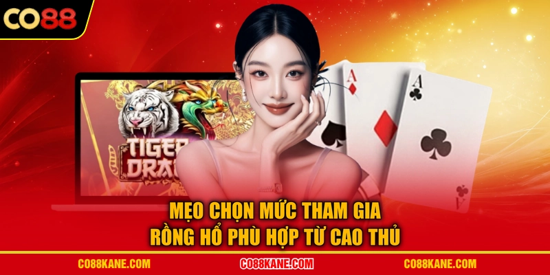 Mẹo chọn mức tham gia rồng hổ phù hợp từ cao thủ