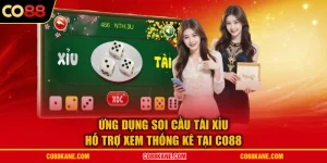 Ứng Dụng Soi Cầu Tài Xỉu Hỗ Trợ Xem Thống Kê Tại CO88