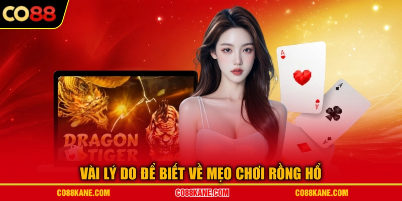 Vài lý do để biết về mẹo chơi rồng hổ